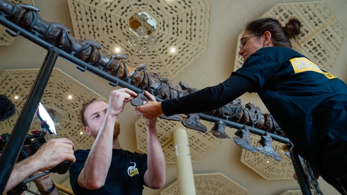Ein Mann und eine Frau arbeiten an einem Skelett. 